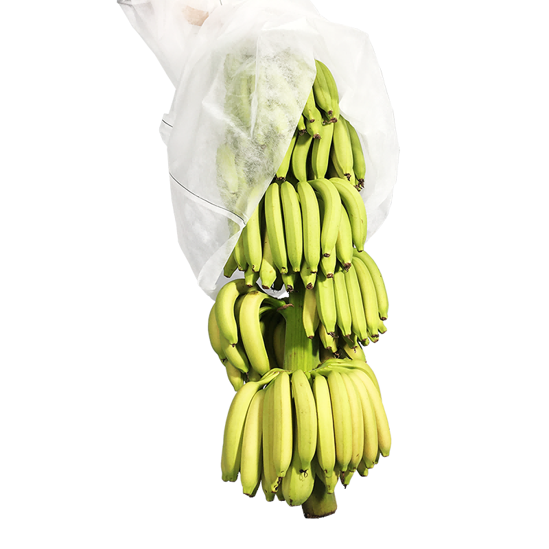 Clúdach plandaí neamh -fhite fabraic gairdín mála banana